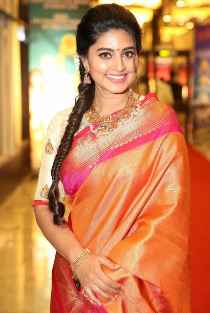 Actress Sneha In Orange Traditional Indian Pattu Saree At Santhosam Awards 47